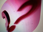 img_0041_PinkQuestionMark